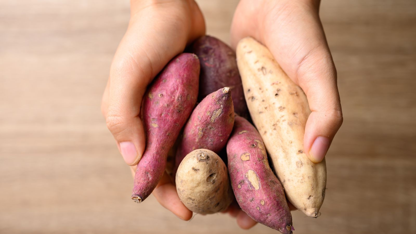 Sweet Potato Varieties